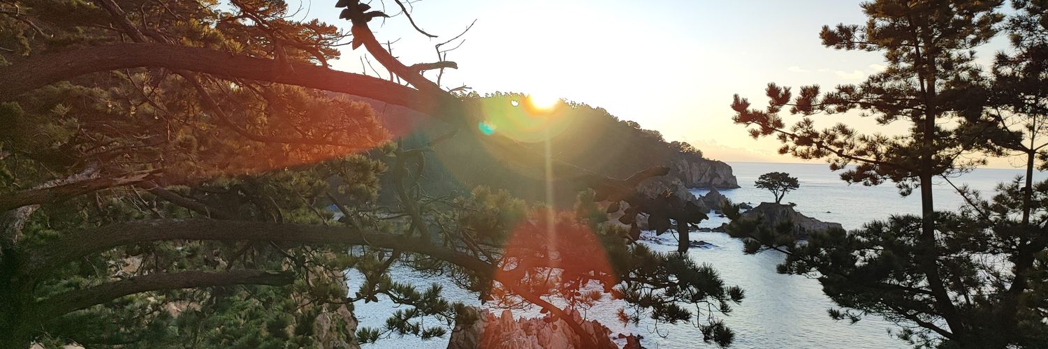 cesag144's profile banner image