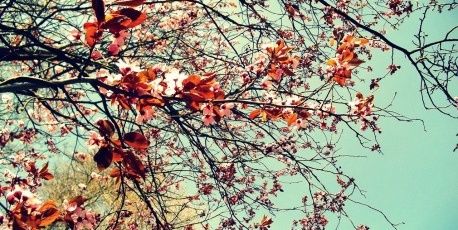 AnnaOliph_SR's profile banner image