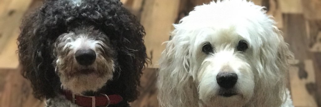 Emgracieface's profile banner image