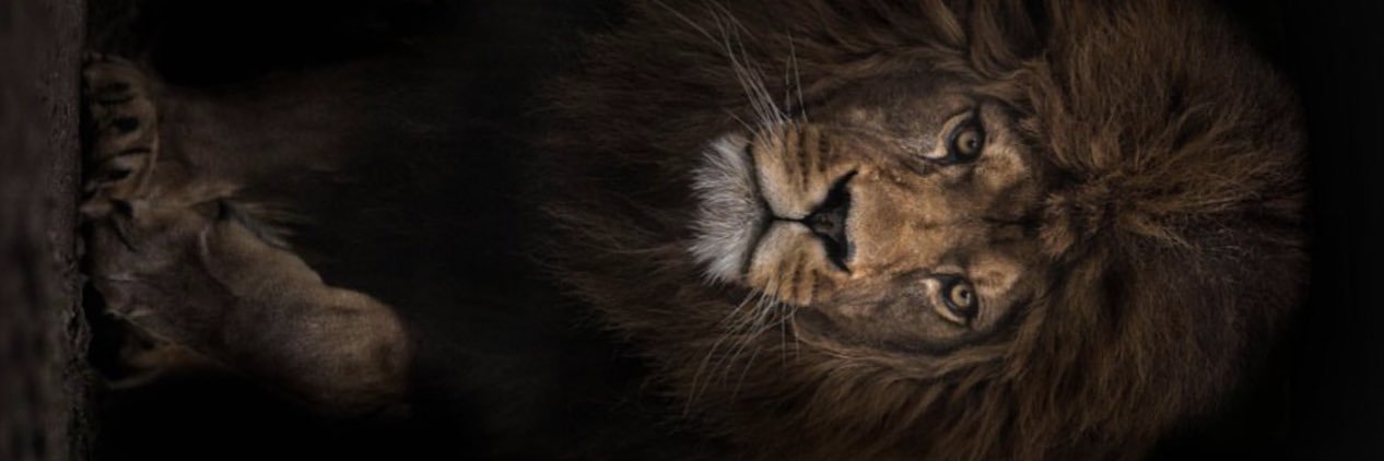OutstandingReek's profile banner image