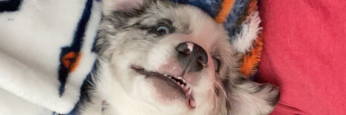 EmmaMarino4's profile banner image