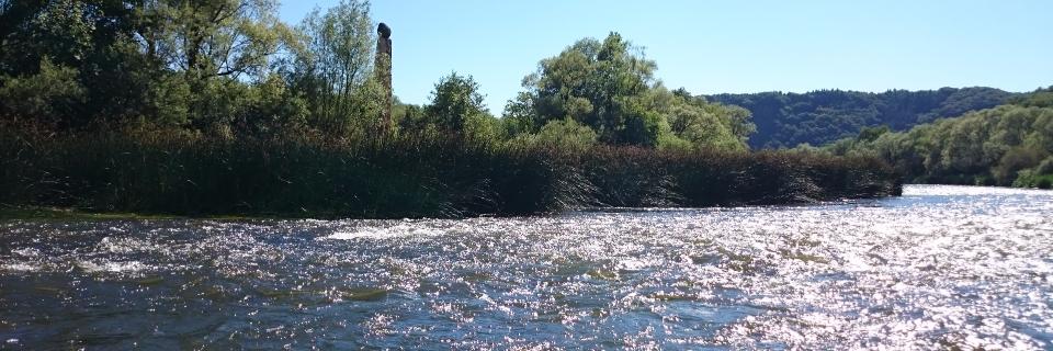 Henning Tappe banner