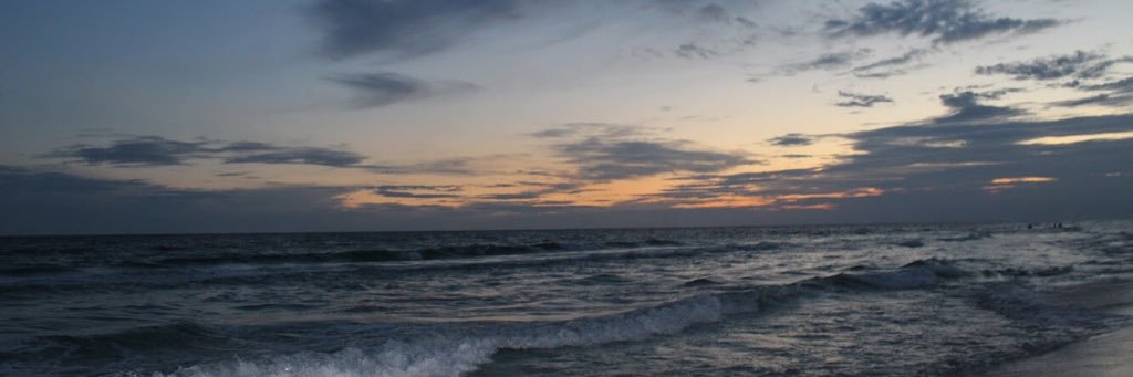 MaddyPasque's profile banner image