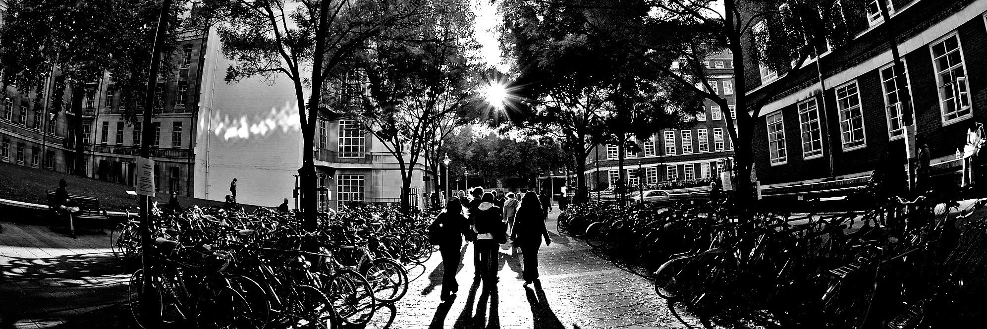 SOAS Policy Forum banner