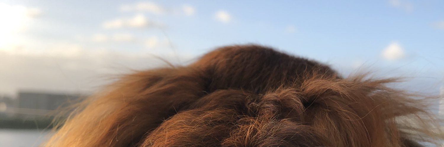 halltonka's profile banner image