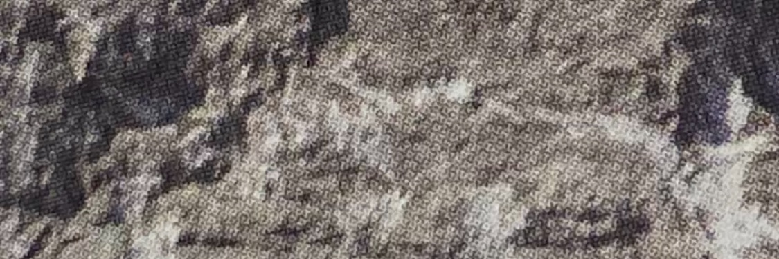 sweetbeanboy's profile banner image
