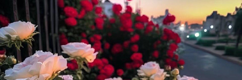tinadones's profile banner image