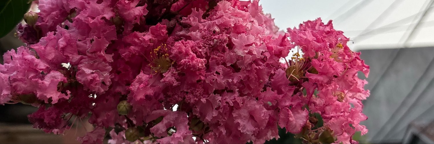 itamutmainah's profile banner image