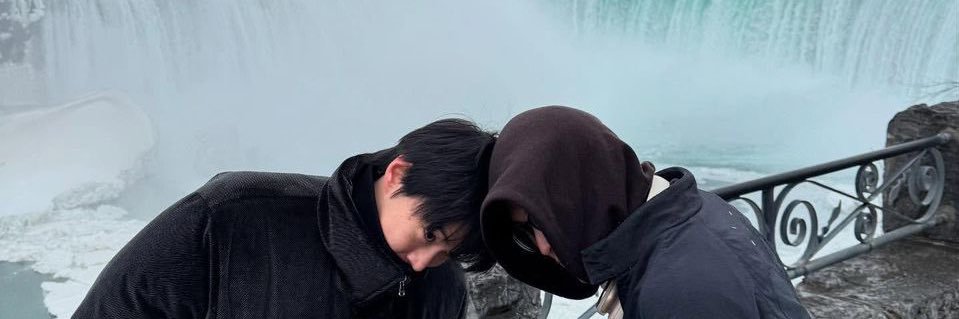 camomld's profile banner image