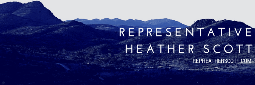 RepHeatherScott's profile banner image