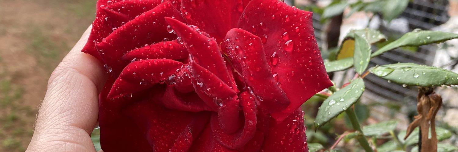 xristina74's profile banner image