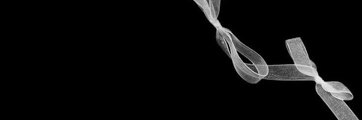 Len banner