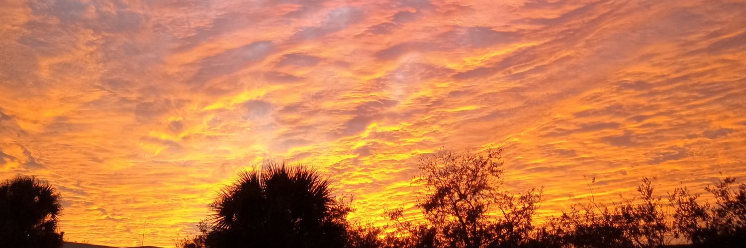 ✌🏼❤️⚾ Pat B May ✌🏼❤️⚾ banner