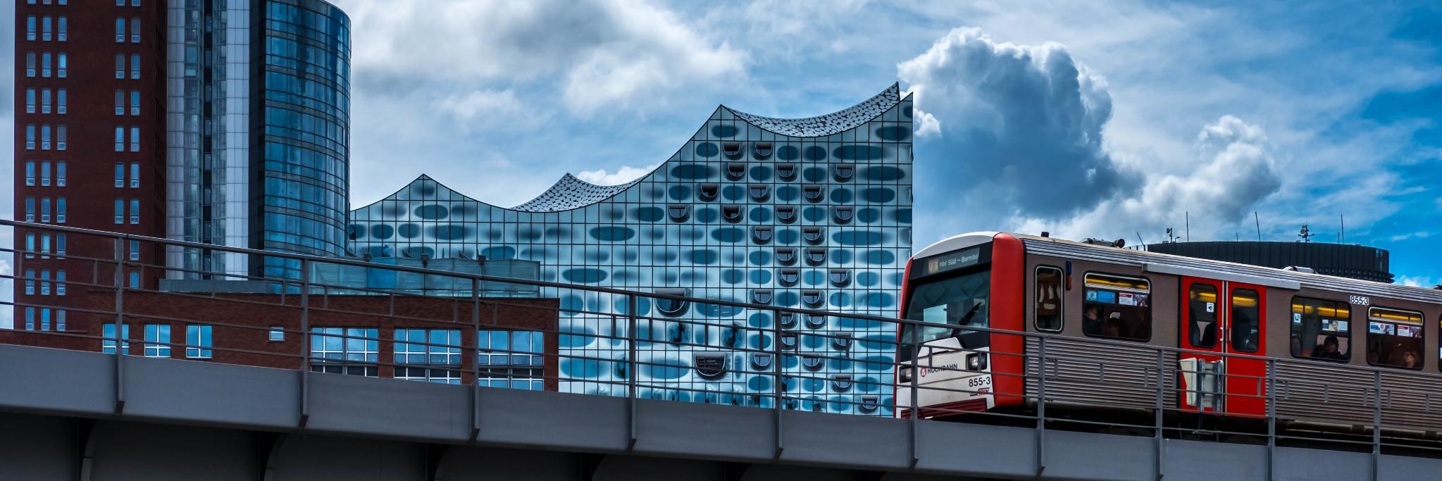 Tom Herrmann 🦦🌳🇩🇪 banner