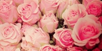 j85486991gmail1's profile banner image