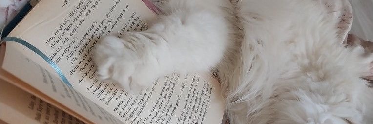 c_drella's profile banner image