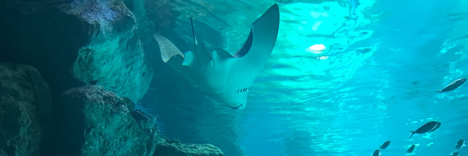 fish_emi's profile banner image