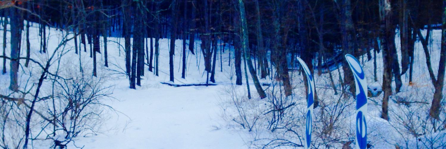 Ava Grossman banner