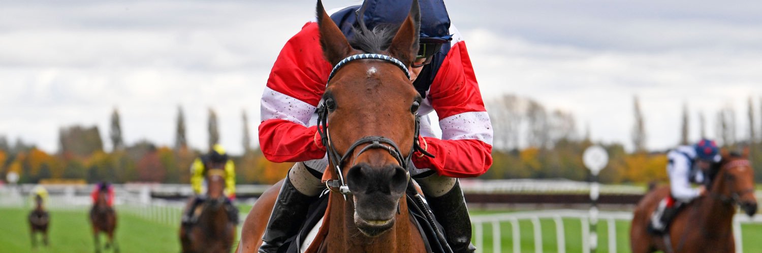 Deborah Sleightholme banner