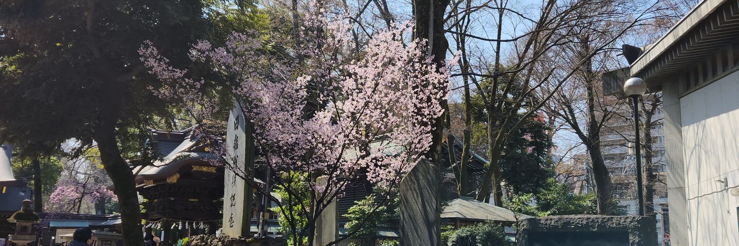 snoopeacce's profile banner image