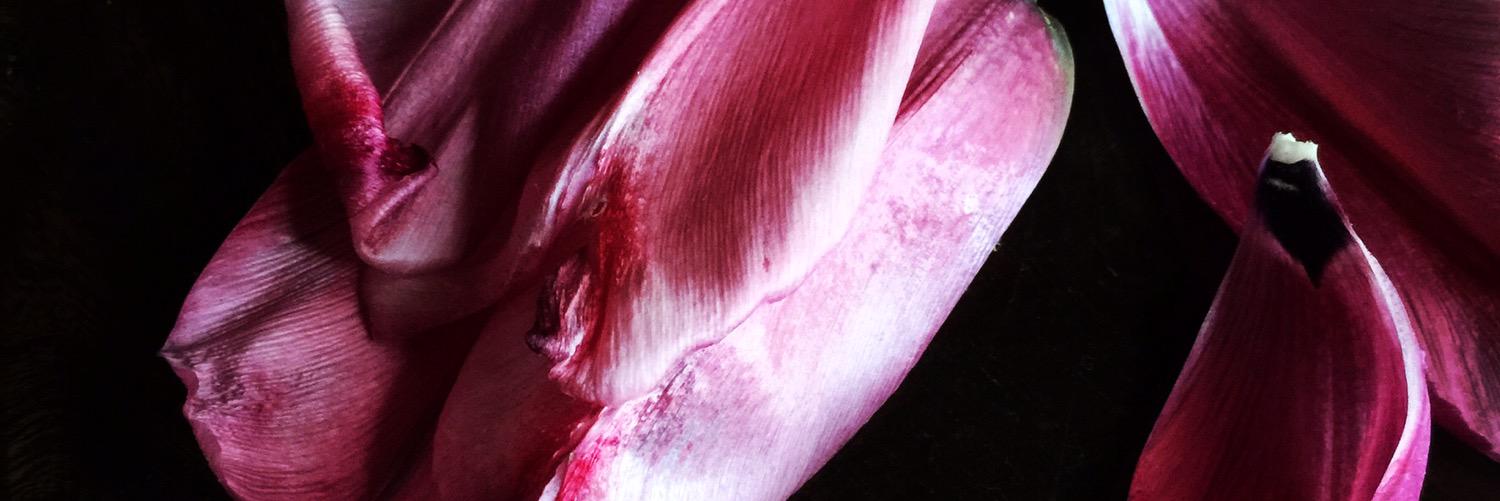 BILLIESMARKET's profile banner image