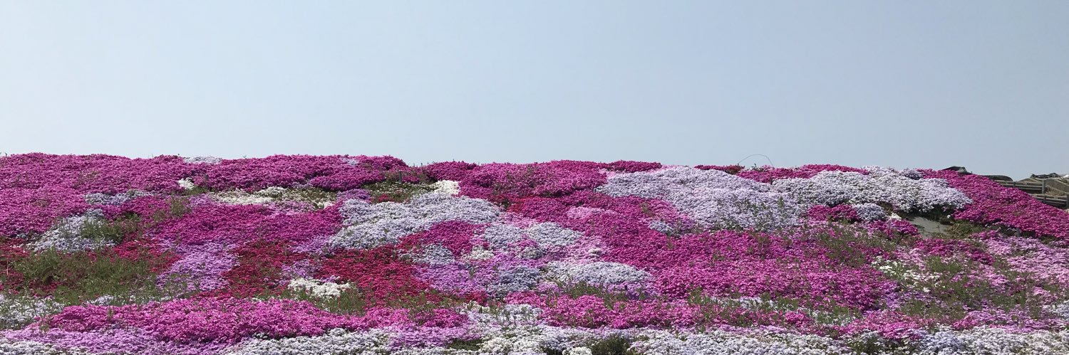 yukacha005's profile banner image