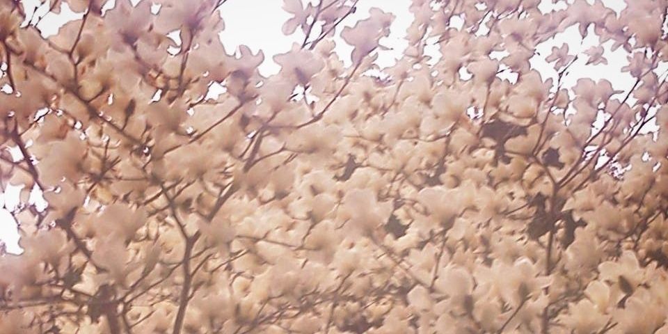 rekwmr's profile banner image