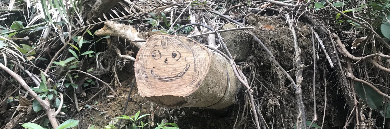 i_si_ss's profile banner image