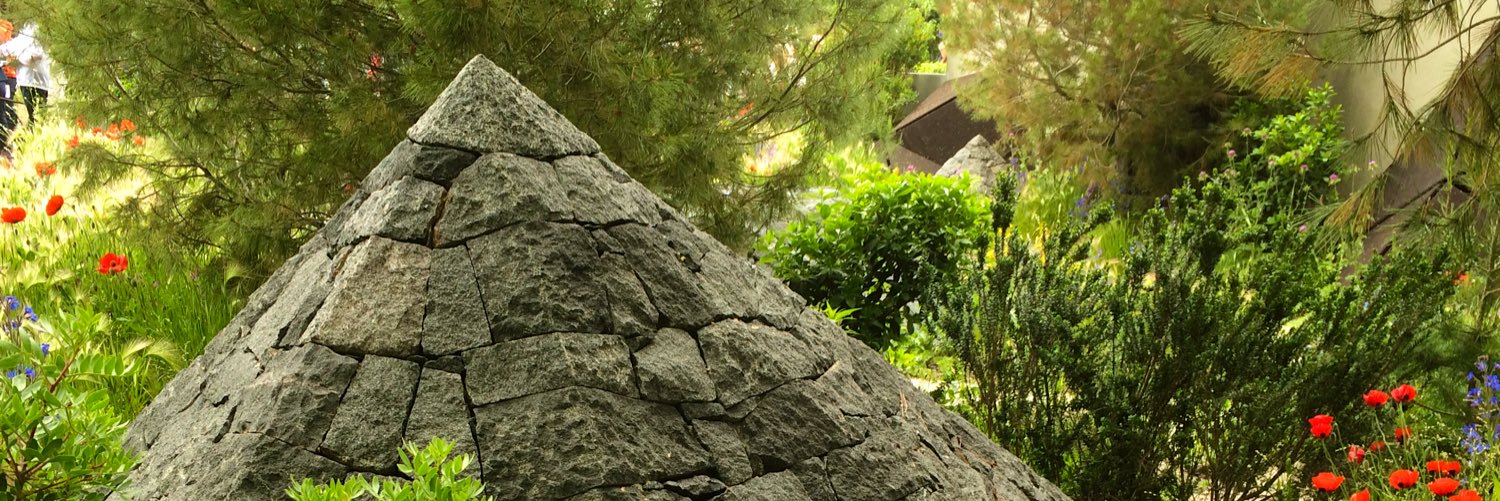 David F Wilson banner