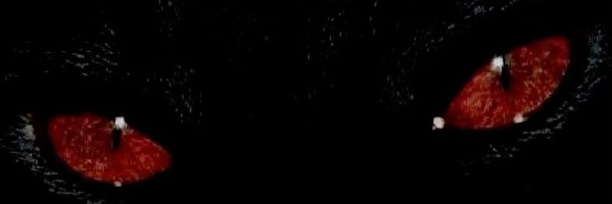 irmmtrnn's profile banner image