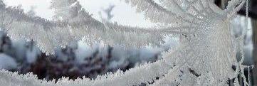 LivingWithALS's profile banner image