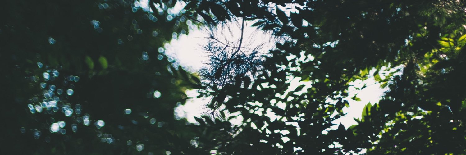 RevFalcon_'s profile banner image
