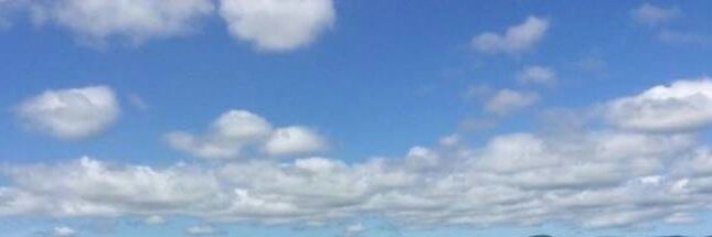 ぴーなっつ banner