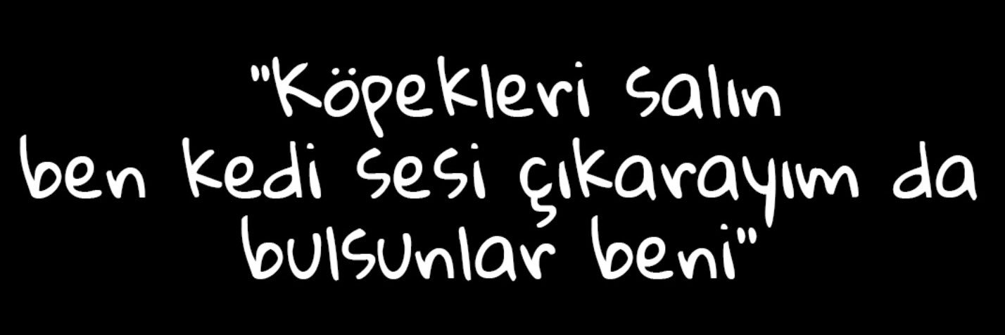 alperkurklu's profile banner image