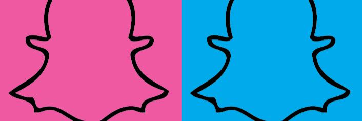 snapcochonnes's profile banner image