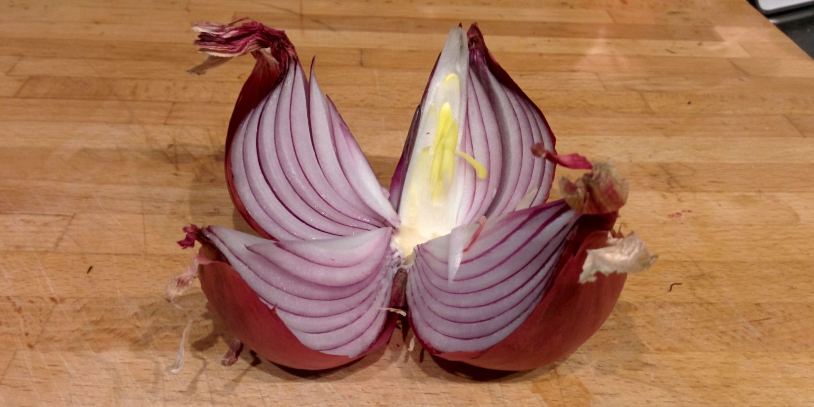 Marc Chikhani banner