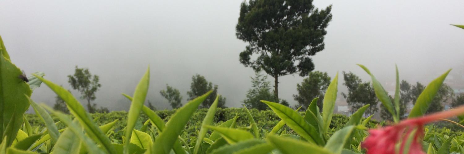 AadhiraPandilakshmi banner