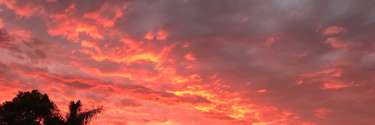 CamilaBerry_'s profile banner image