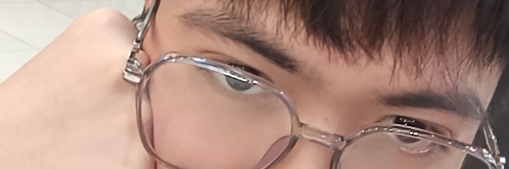 lostturtleduck's profile banner image