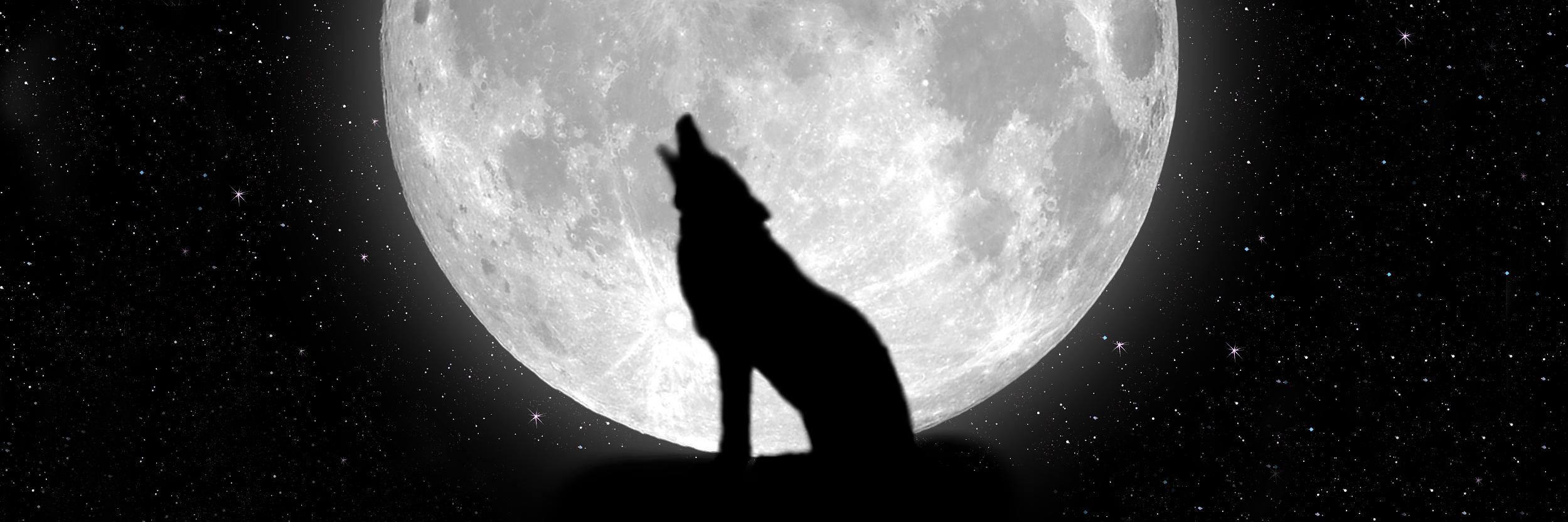 lykosokyl's profile banner image