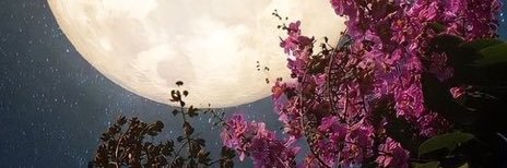 r_nilx's profile banner image