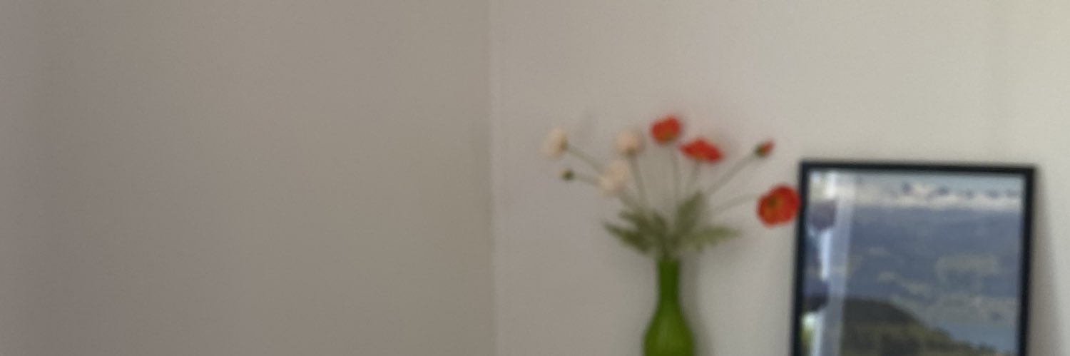 wtmeimei's profile banner image