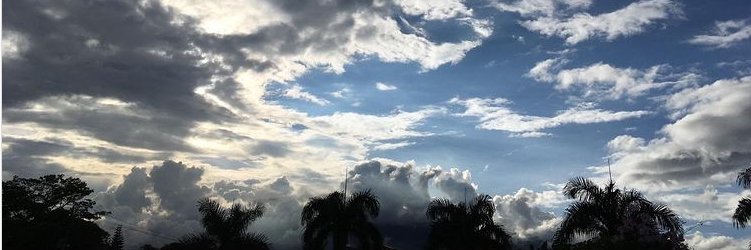 anarkos69's profile banner image