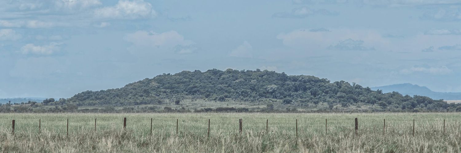jamarilla31's profile banner image