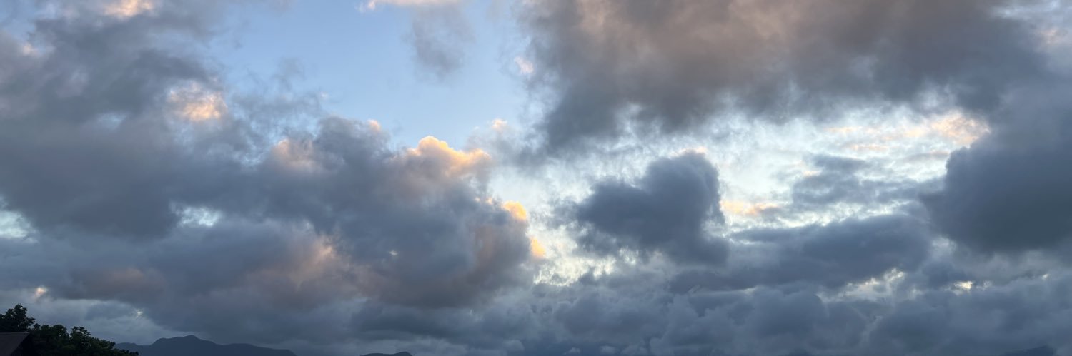 tynmistica's profile banner image
