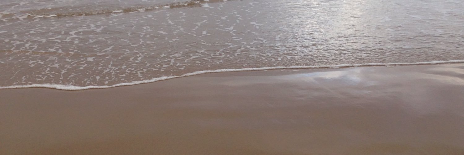 shellstrachanx's profile banner image