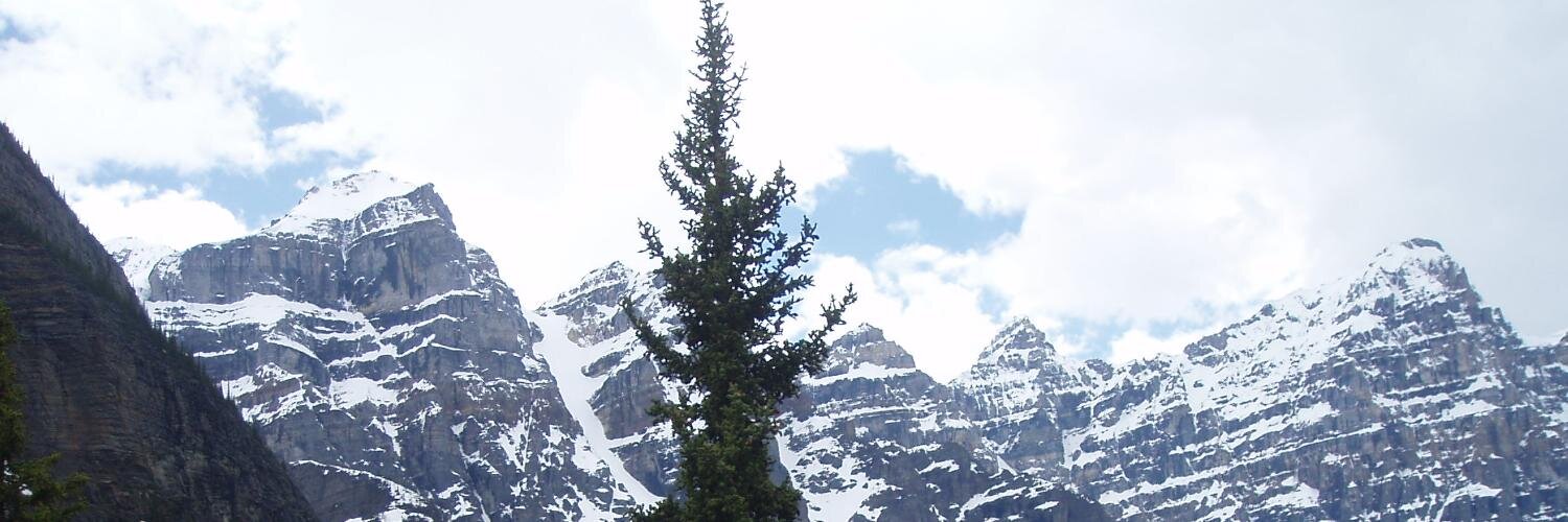 peter_wood's profile banner image