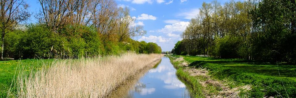 Almere_Vandaag's profile banner image