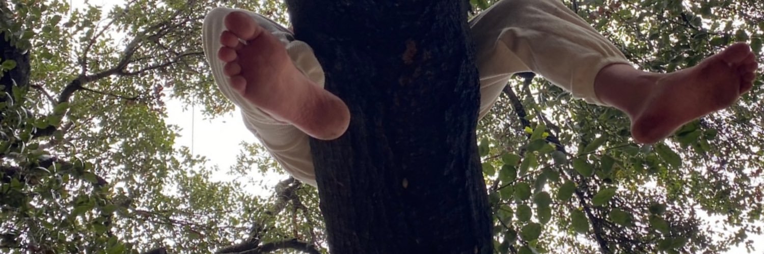 theibass's profile banner image