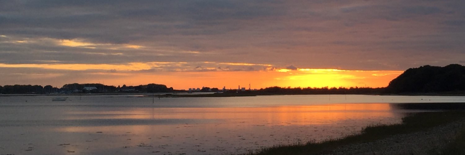 Dr Cheryll Adams CBE banner